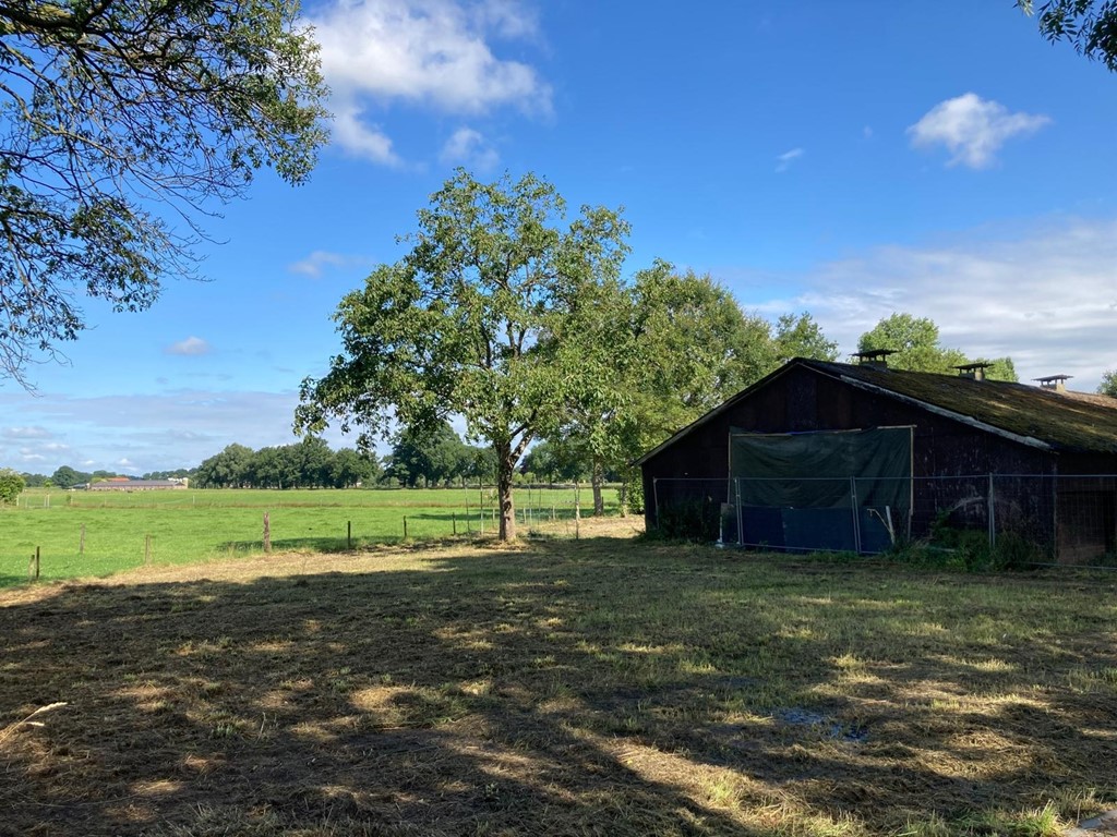 geersweg nieuwe foto juli 25 (6).jpeg